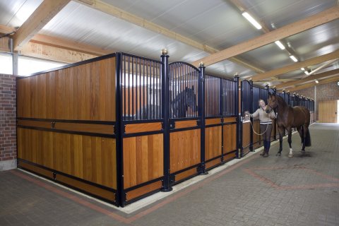 luxury horse stalls