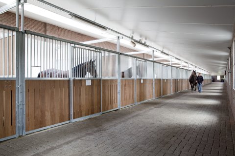 horse stalls