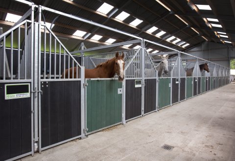 luxe paardenboxen