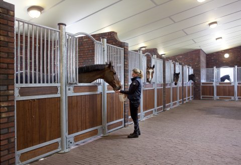 luxe paardenboxen