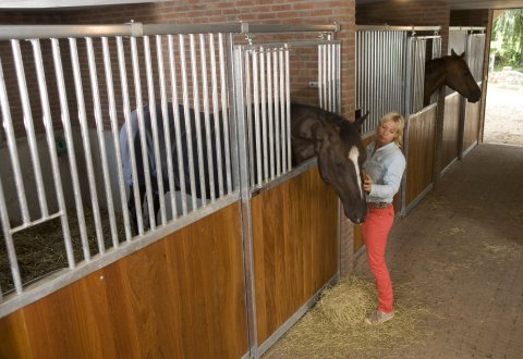 paardenboxen