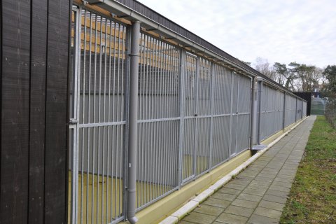 Dog kennels