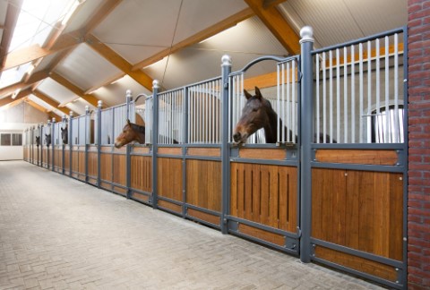 Horse stalls