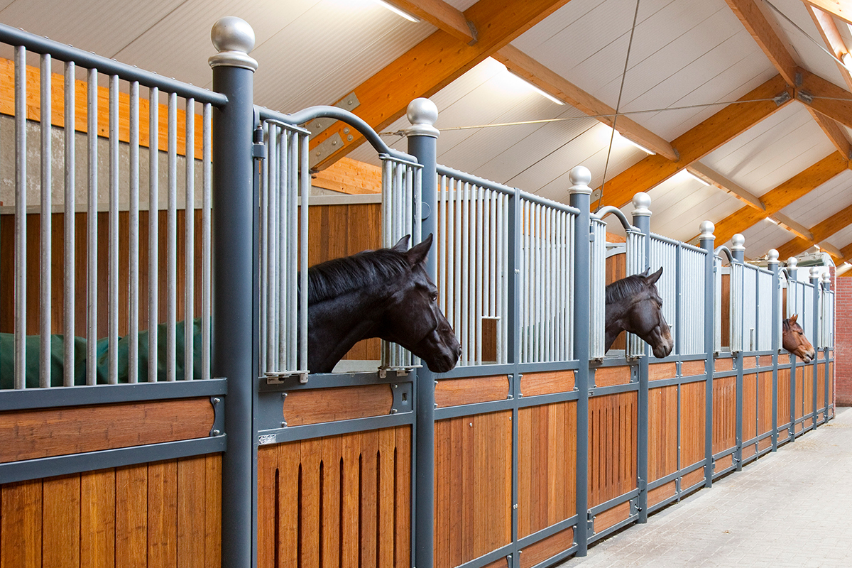 Paardenstallen van Corton
