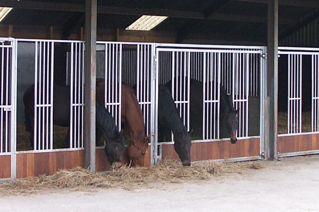 Groepshuisvestiging paarden - voerhekken