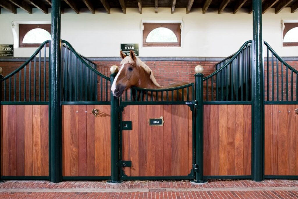 Luxe paardenbox - paardenstal