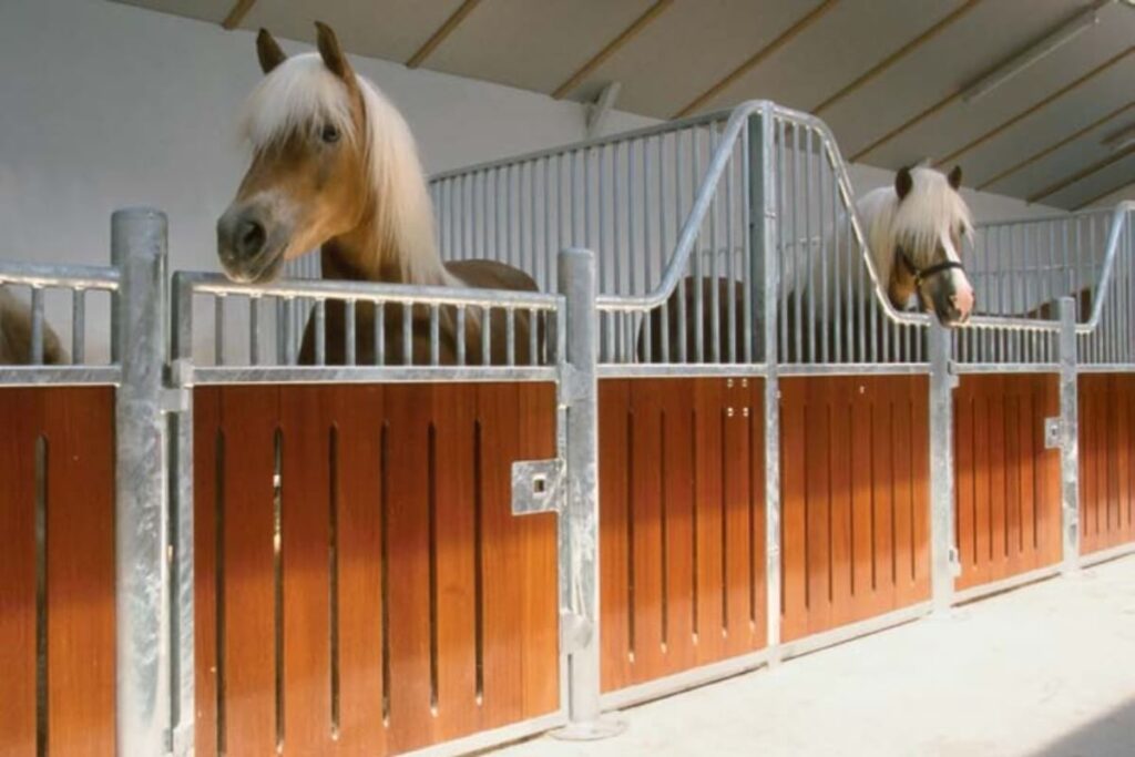 Paardenbox met luchtsleuven