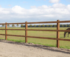 Paardenomheining - paddock omheining
