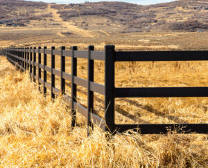 Stalen omheining - zwarte - buckley fence